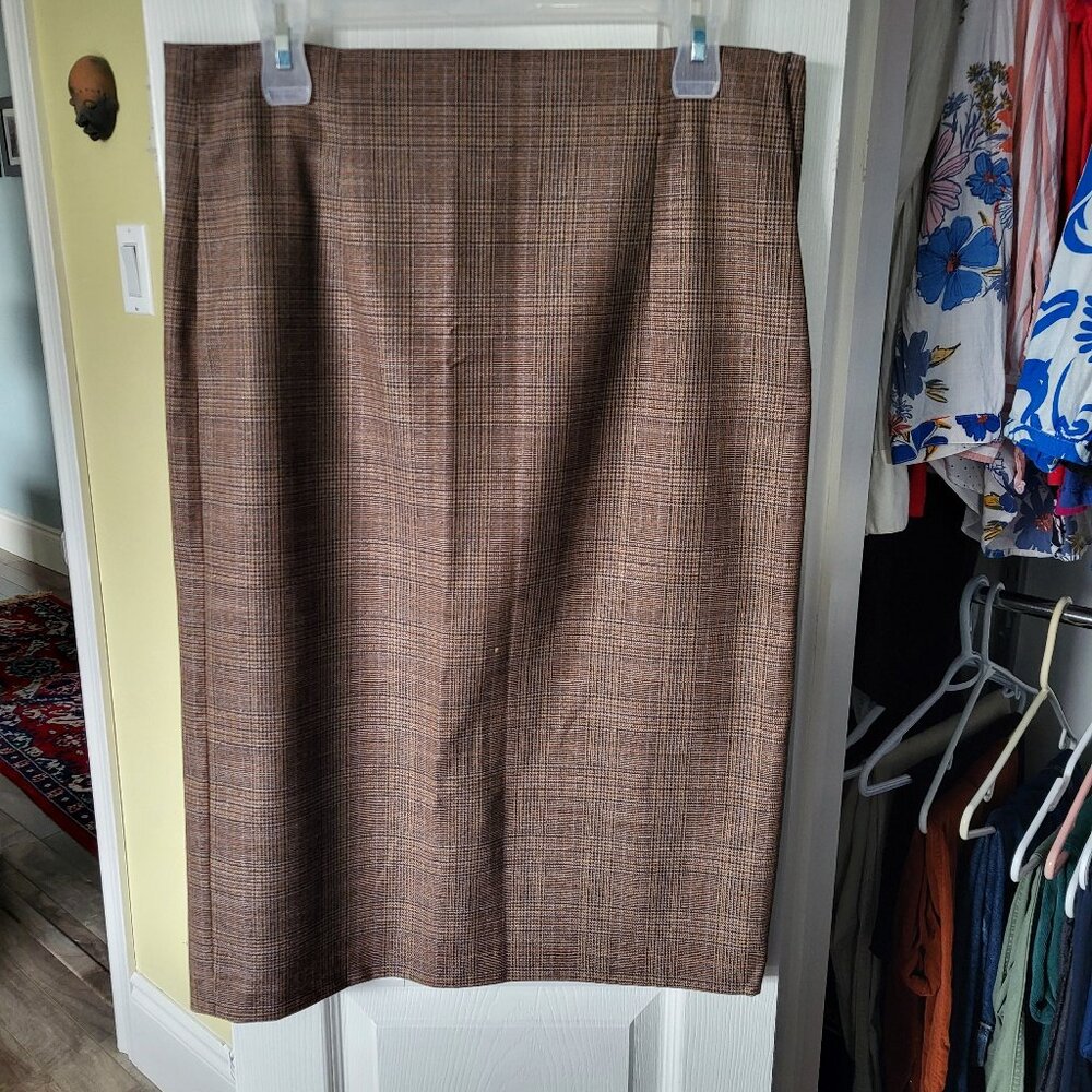 Zara pencil skirt (L)